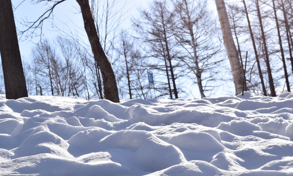 雪の北海道