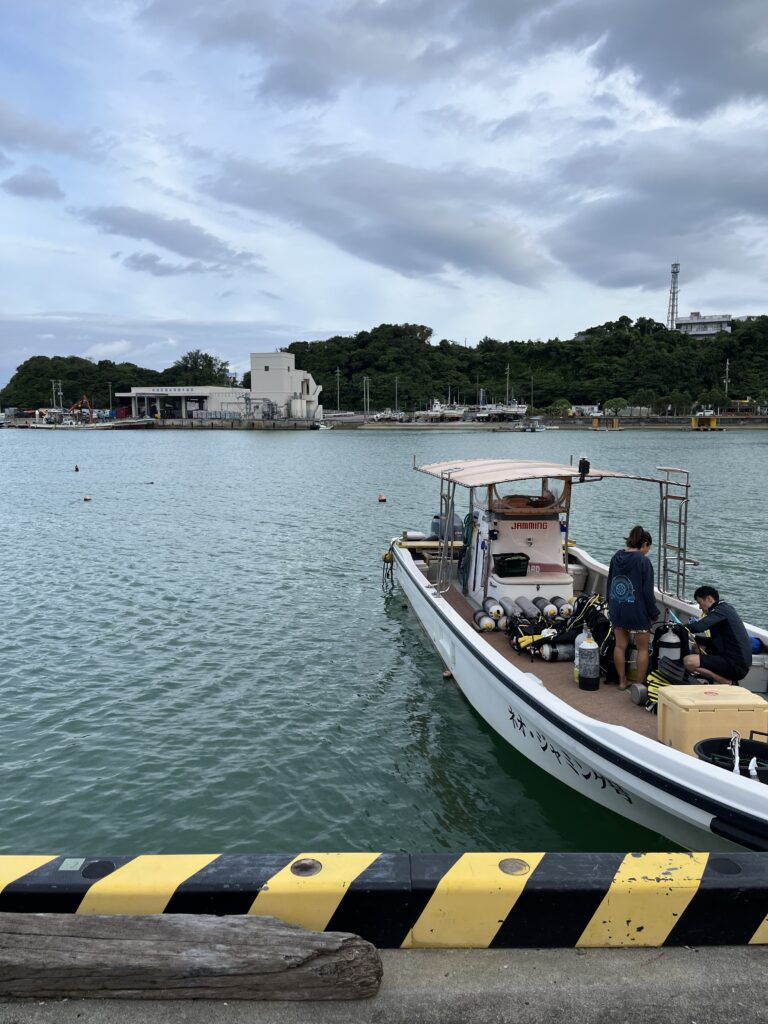 沖縄旅行　ファンダイビング　　　2DAY